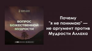Почему "я не понимаю" - не аргумент против Мудрости Аллаха? Абу Яхья Крымский