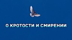 Одеяние Божества. О кротости и смирении.