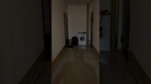 IMG_3648