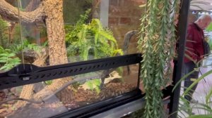 Зоомагазин на Семеновской-3_20-09-2025