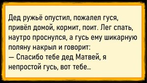 Как дамы в баньке с Петровичем развлекались! Сборник свежих анекдотов