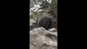 Оман 2019 год