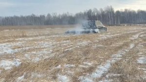 уборка камыша на линии ЛЭП