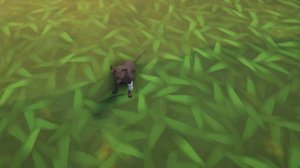 Помогли первой кошечке  - The Tenants №4