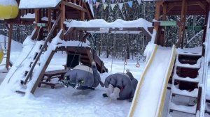 Мышата опять гуляют 😂