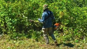 ПОКОС Колючки/ТРАВЫ СОЧИ