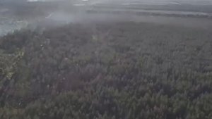 Огромное количество остатков оптоволоконных кабелей от дронов.
Кадры из Серебрянского лесничества.