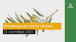 21 сентября 2025. Заповедь во свете любви. Под сенью благодати