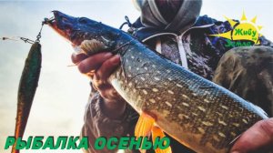 Ловля Щуки Осенью. Размер Приманок меняется