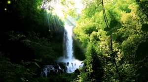 Водопад в лесу - музыка для медитации, релакса и двохновения