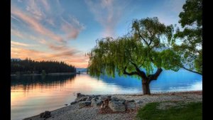 Видео.Вот также когда-то Есенин...(Стихи и Видео Владимира Пяткова)