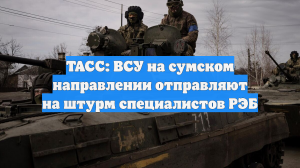 ТАСС: ВСУ на сумском направлении отправляют на штурм специалистов РЭБ