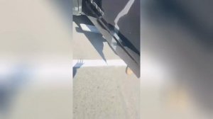 Best video of Tik Tok! 21.09.25 / 11