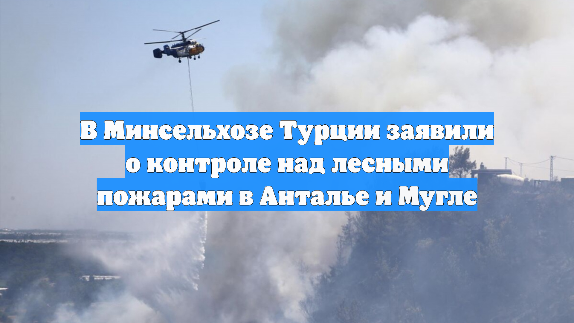 В Минсельхозе Турции заявили о контроле над лесными пожарами в Анталье и Мугле