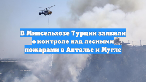 В Минсельхозе Турции заявили о контроле над лесными пожарами в Анталье и Мугле