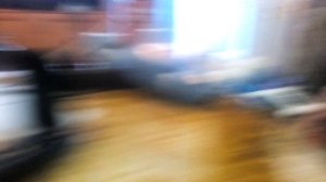 л.п.в.р.н.р сезон 1 серия 5