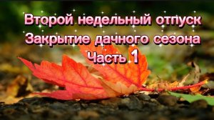 Второй недельный отпуск. Закрытие дачного сезона. Часть 1)