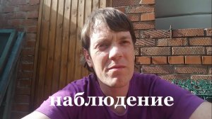 интересное наблюдение, предпринимательство