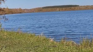 Осень на озере. Релакс видео. Бабье лето в Сибири.