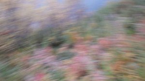 В тундре 10.09.2025 98