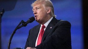 Трамп заявил, что между Путиным и Зеленским существует существенная вражда