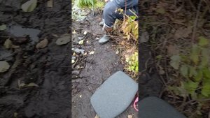 карасики вообще хорошие кайф