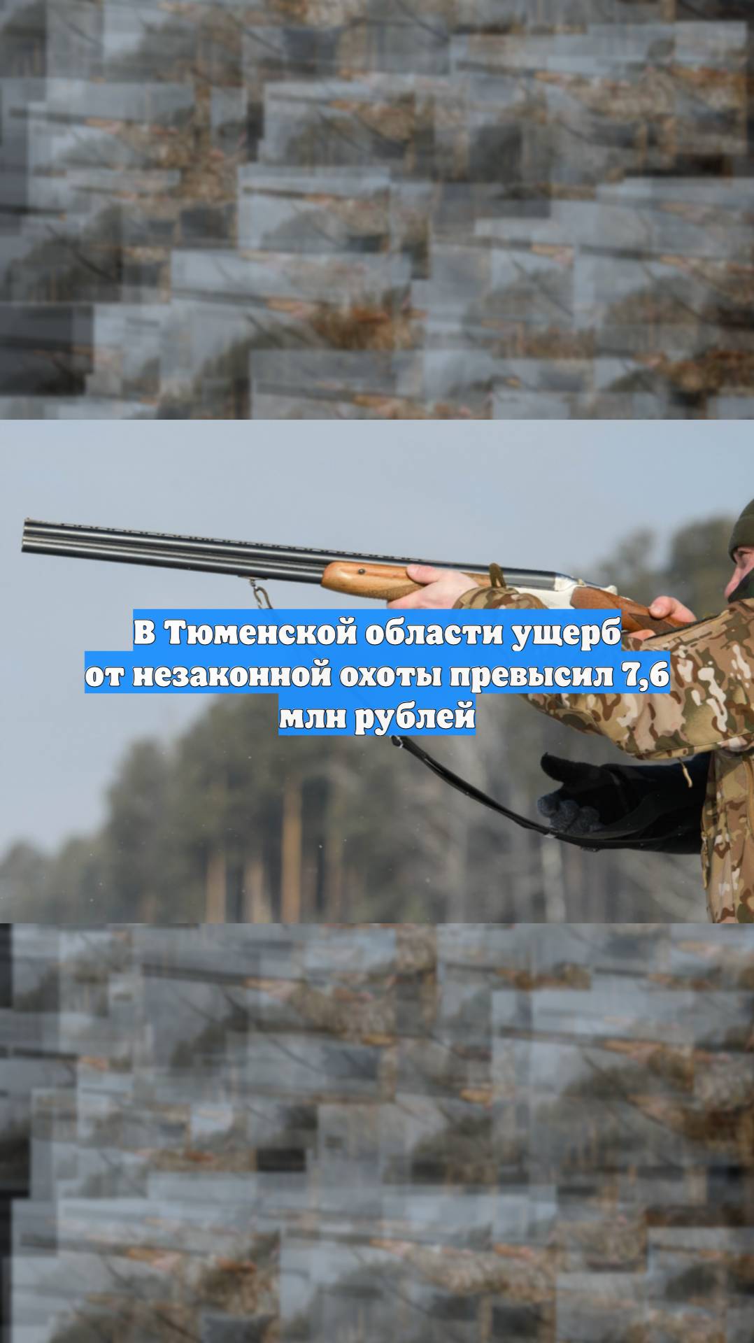 В Тюменской области ущерб от незаконной охоты превысил 7,6 млн рублей