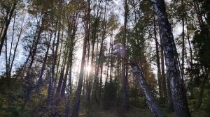 Осенняя красота на озере, во время дневной прогулки  ( 21 сентября)