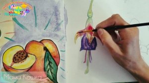 мастер-класс по рисованию. нарисуем фуксию акварелью