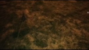 Сериал ИМРК 695 — Мы идём гулять с собакой!