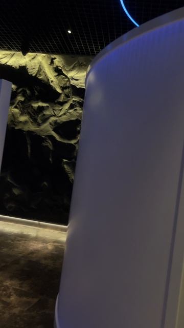 Таких туалетов я нигде не видел! #парккраснодар #паркгалицкого