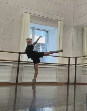Упражнения у палки Диля