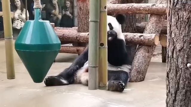 Катюша-стесняшка! 😇⭕️