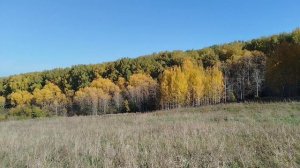 Прогулка по любимым местам 🌳Бабье лето 🌞