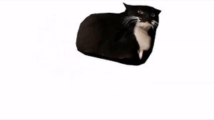 Максвелл если там есть слова он рассказывает о себе