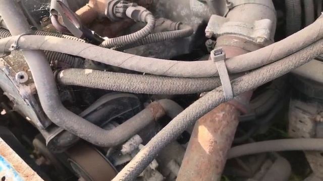 Газель