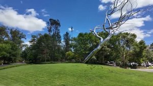 Город, где живет богатейшая семья в Америке. Бентонвилл. Арканзас