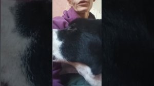 В приют куда поместили наших четверых приезжаем каждый день.