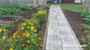 Наши 8,4 сотки 🏡Разобралась с теплицей.Сняла урожай перцев🌶️ и помидор 🍅💪
