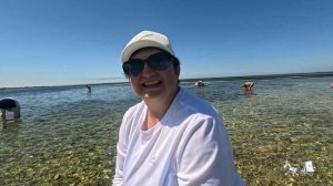 14 Лагуна (залив) Буссе