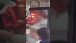 новости:Енот и я