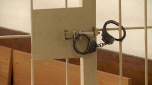 Шлепнувший в метро Москвы пассажирку по ягодице мужчина отсидит 10 суток