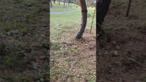 VID_20250920_175338.mp4