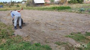 Бороную огород мотоблоком Агат после уборки картошки.