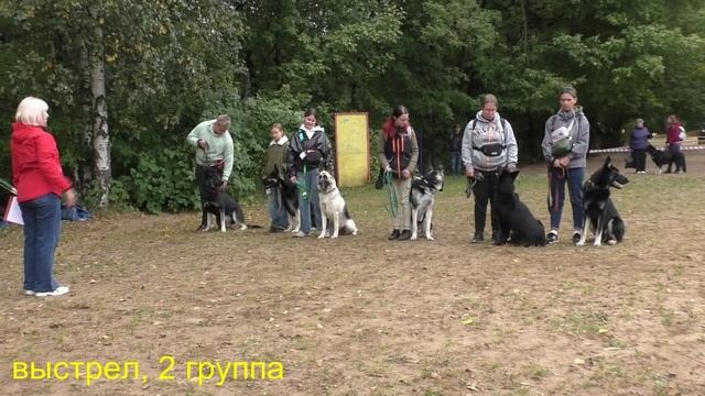 Выстрел