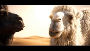 как выходные?