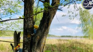 Дальновидность