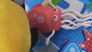 Ворона Ася и забег 💥✅