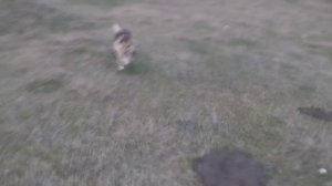 Дик качается не на шутку :)