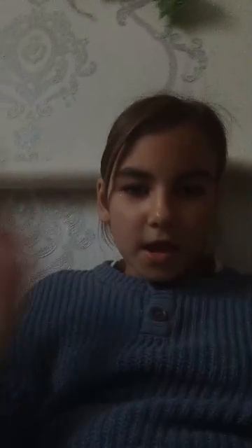 эфир с собакой смотреть онлайн